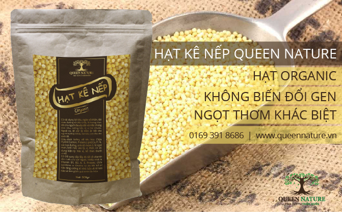 HẠT KÊ NẾP ORGANIC QUEEN NATURE- MÓN ĂN TRƯỜNG THỌ 